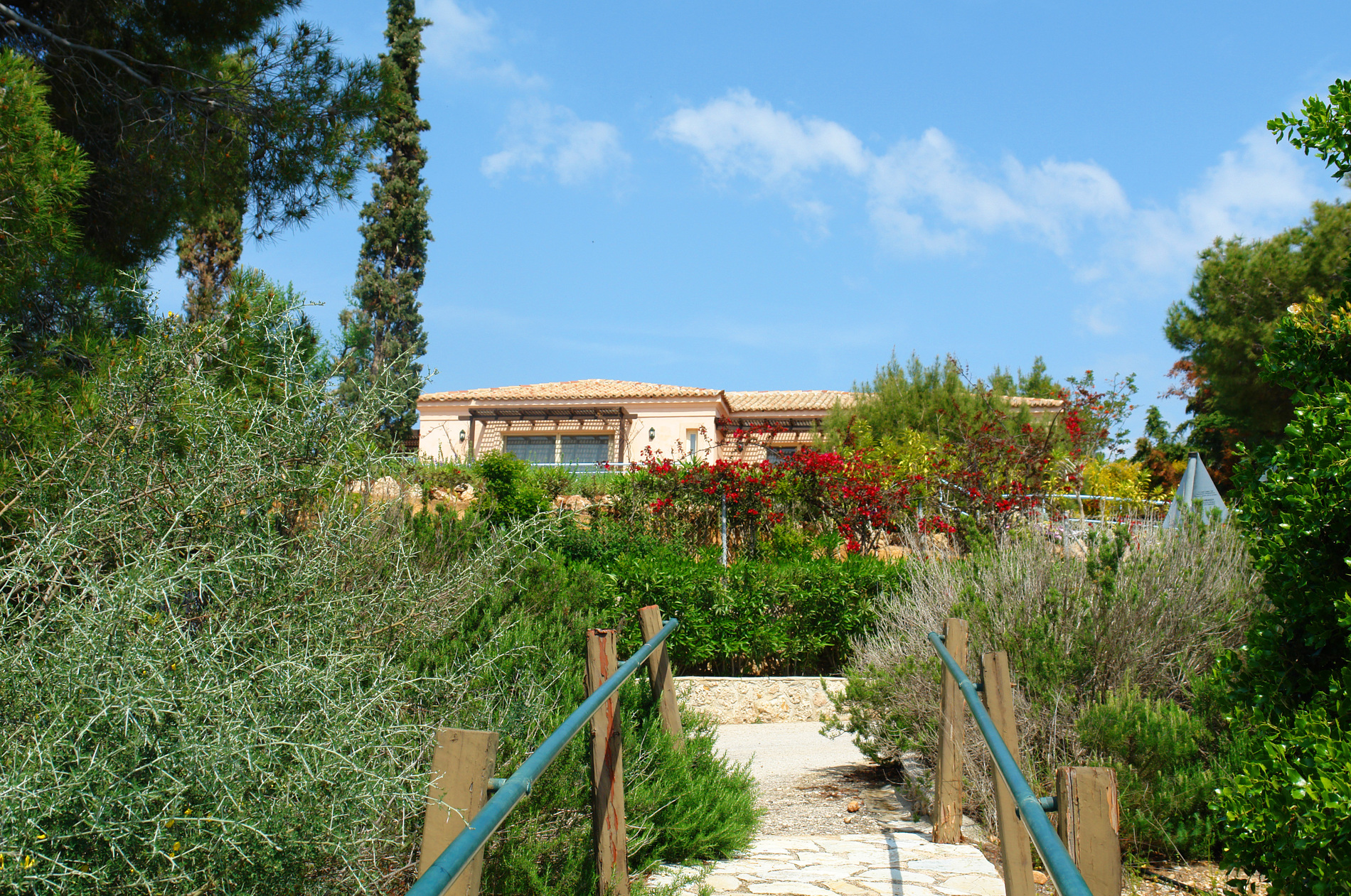 Villa Ameli image 3