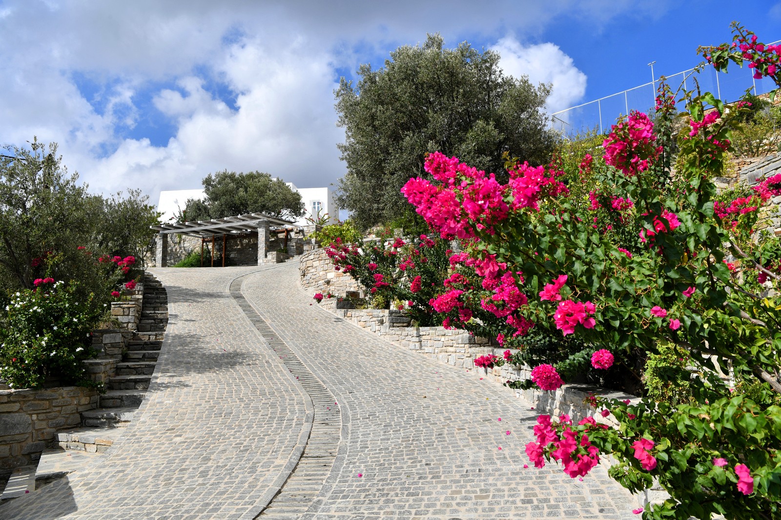 Villa Agnes image 4