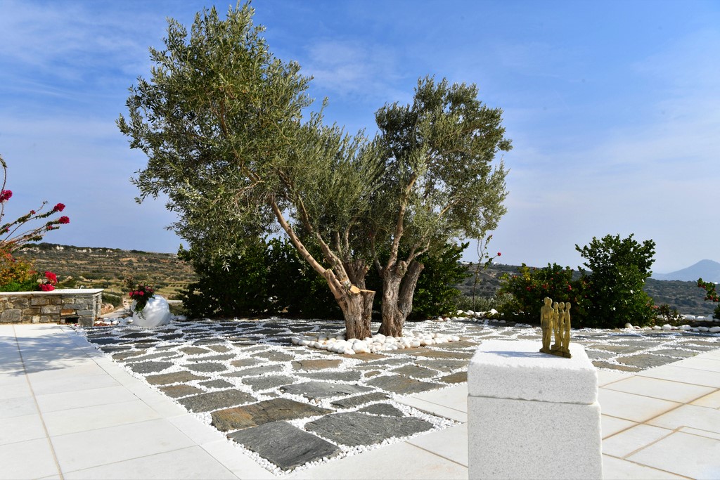 Villa Agnes image 24