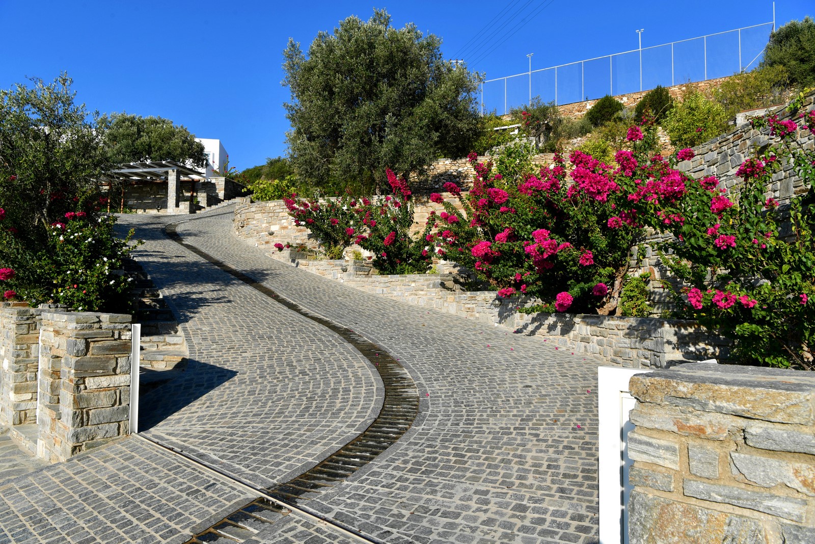 Villa Agnes image 25