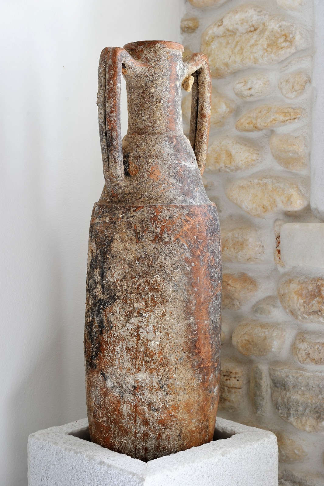 Villa Agnes image 31