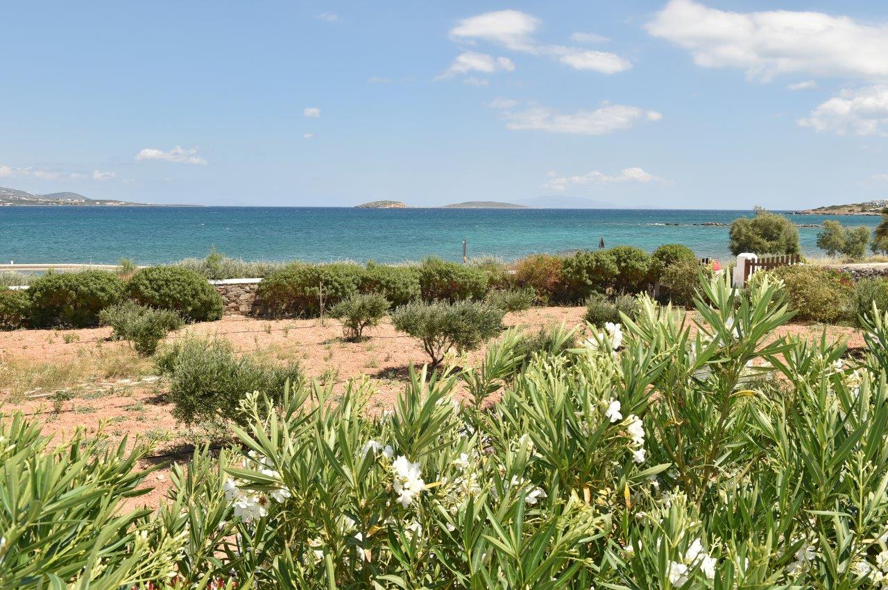 Villa Nerida image 13