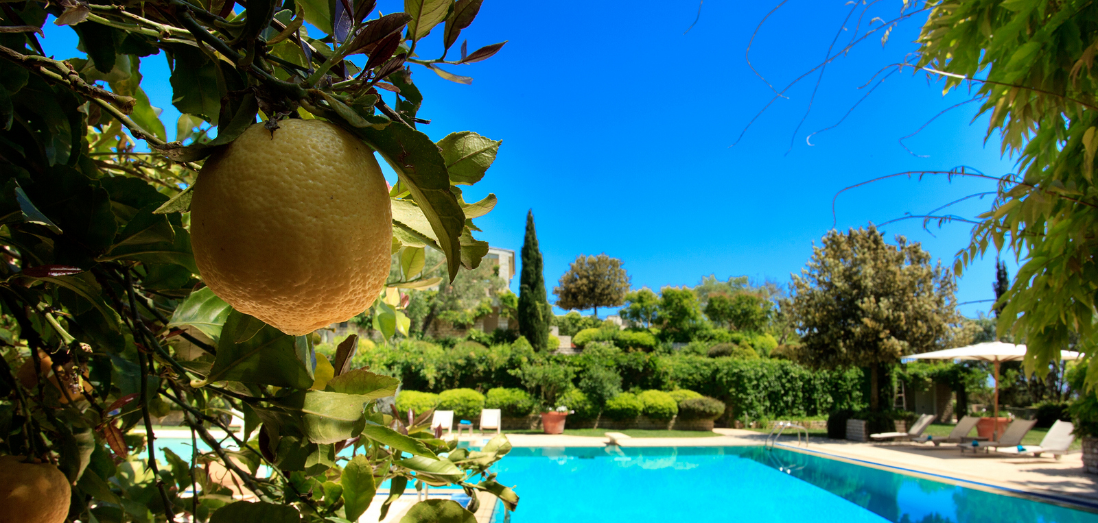 Romantica Estate image 10