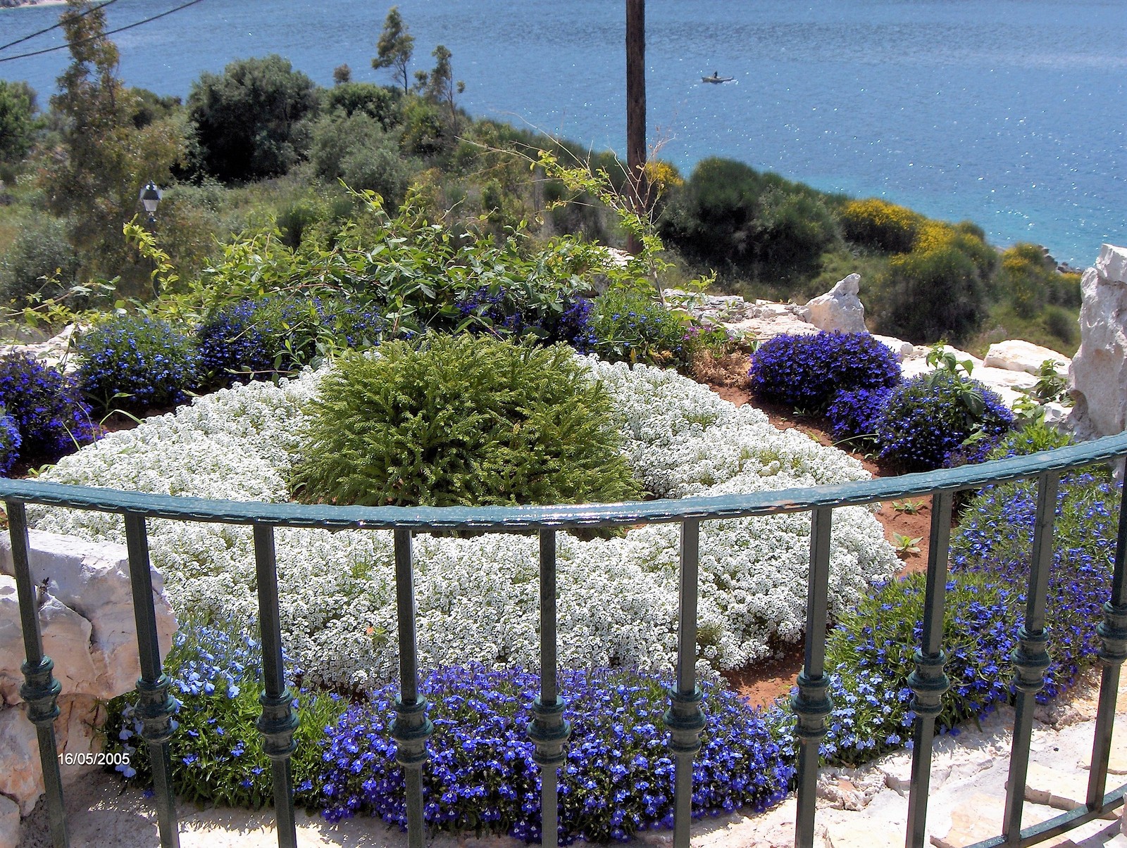 Villa Amelia image 19