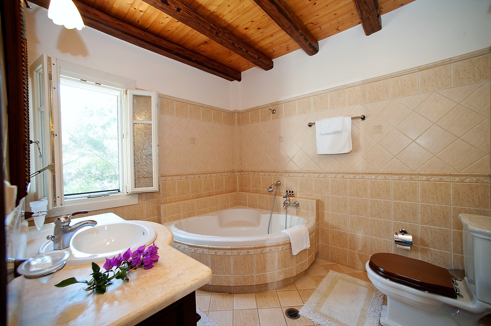 Villa Amelia image 55