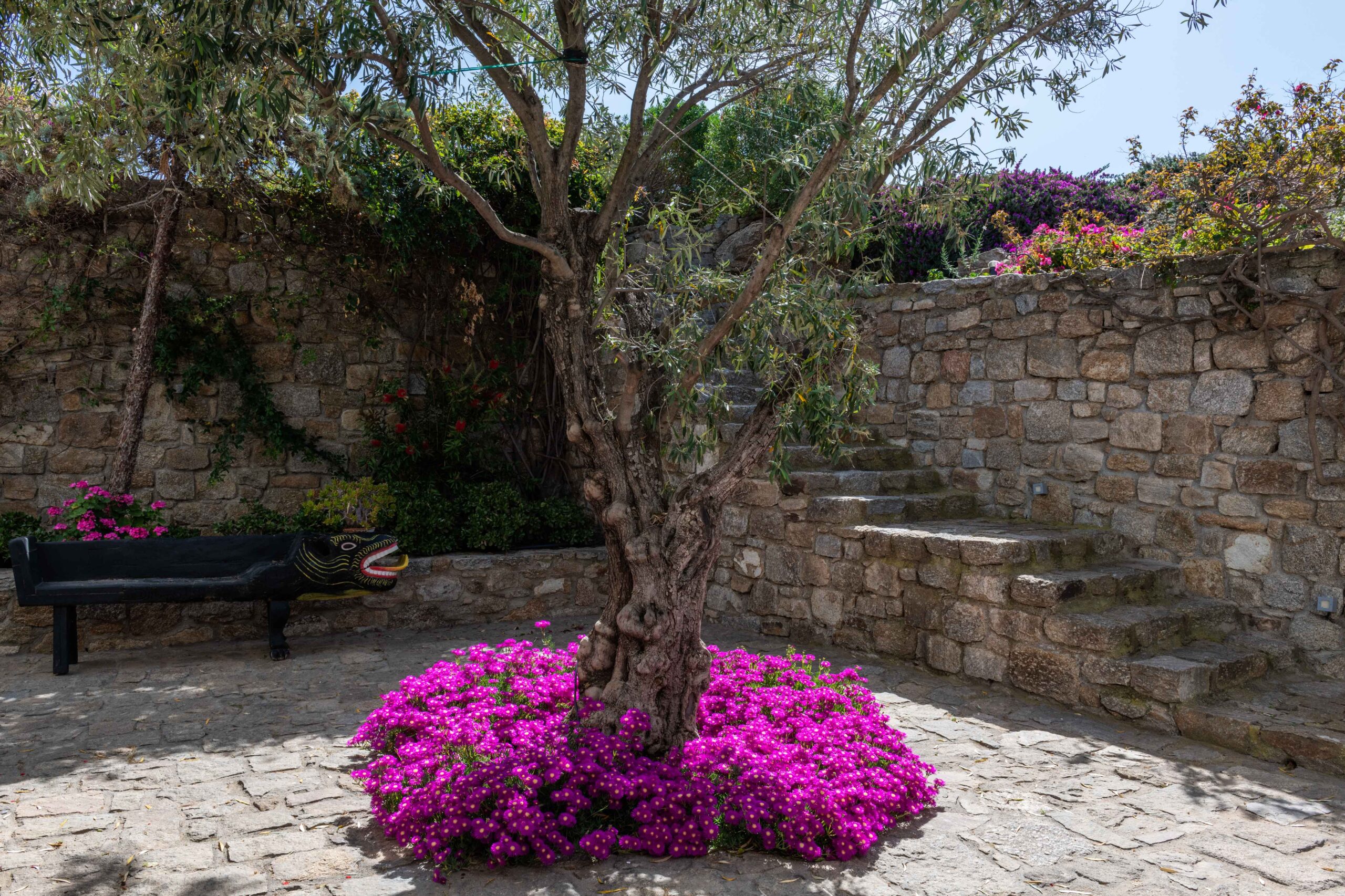Villa Darena image 39