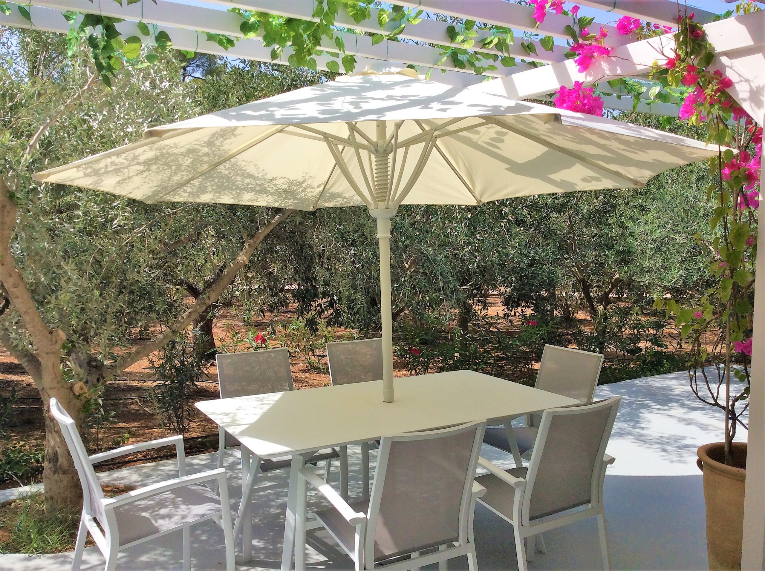 Tuscany Estate image 91