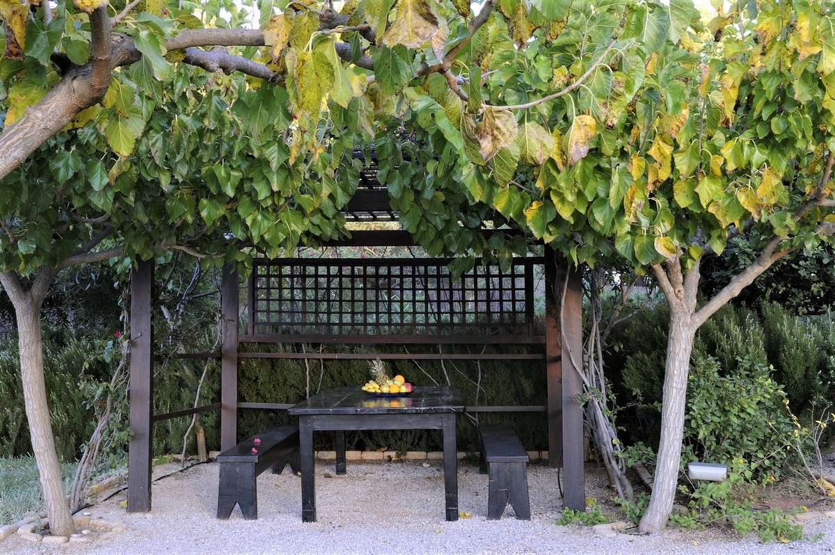 Tuscany Estate image 46
