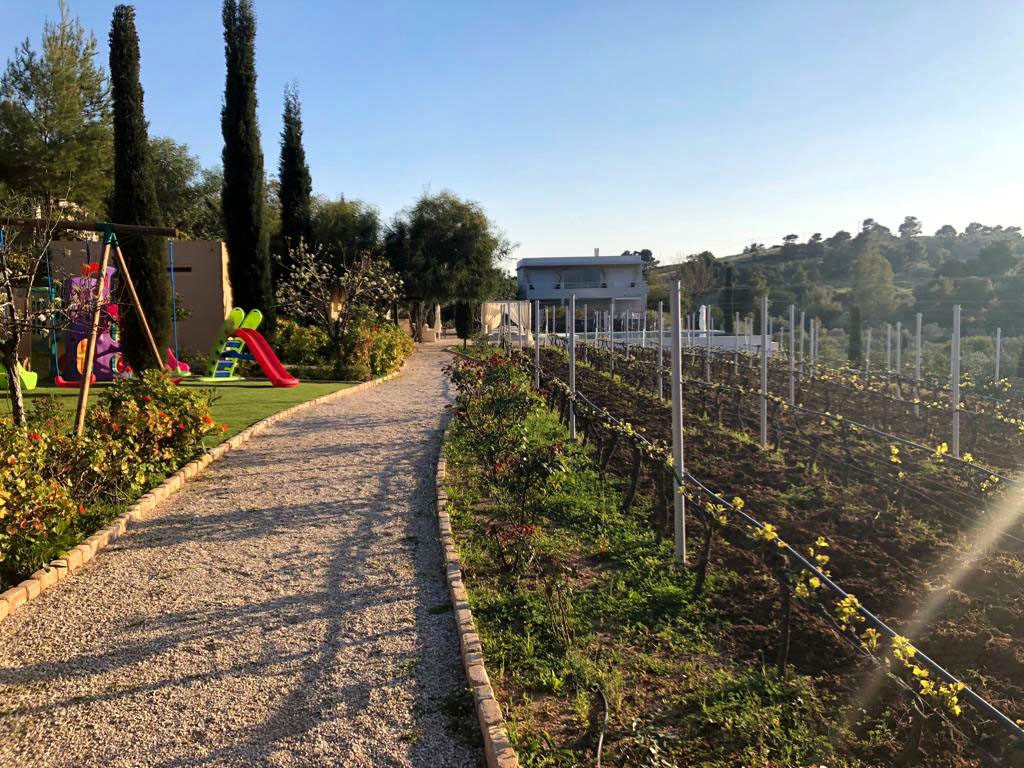 Tuscany Estate image 73
