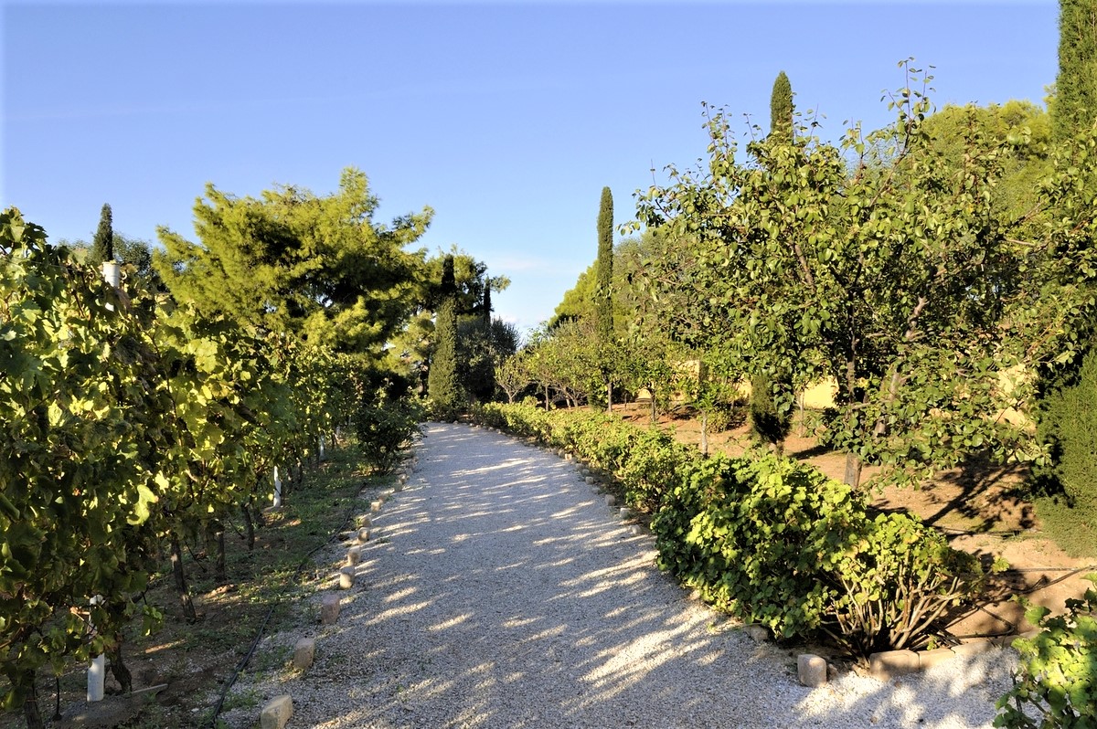 Tuscany Estate image 75