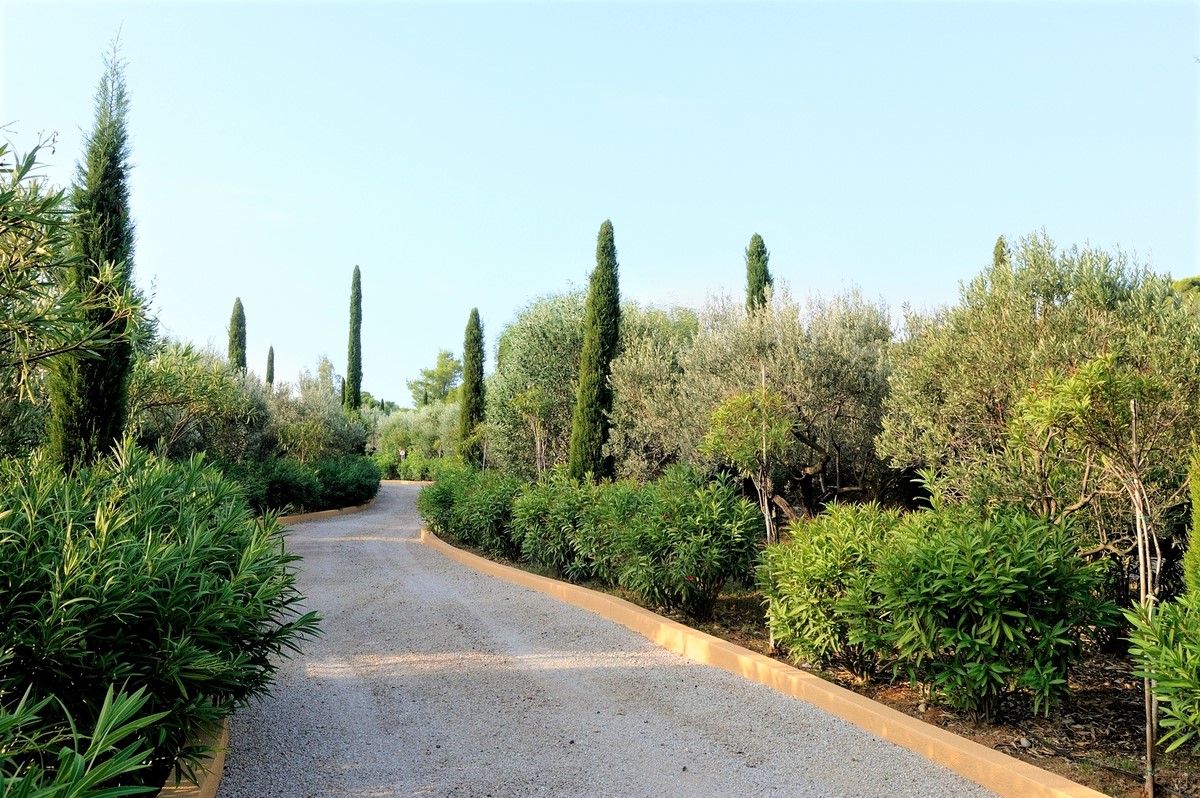 Tuscany Estate image 82