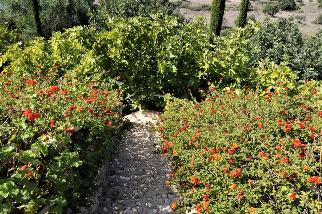 Tuscany Estate image 84