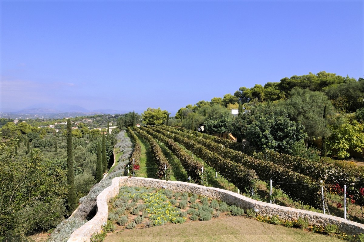 Tuscany Estate image 85