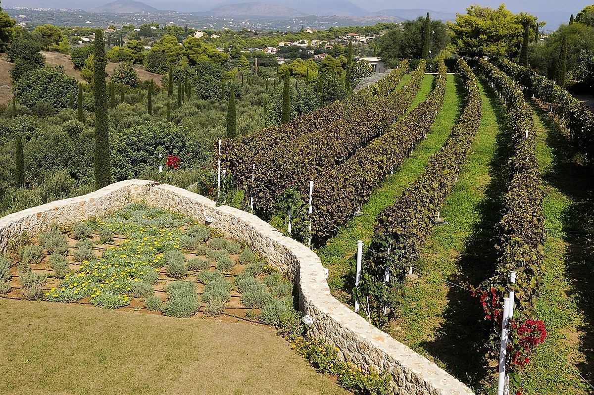 Tuscany Estate image 86