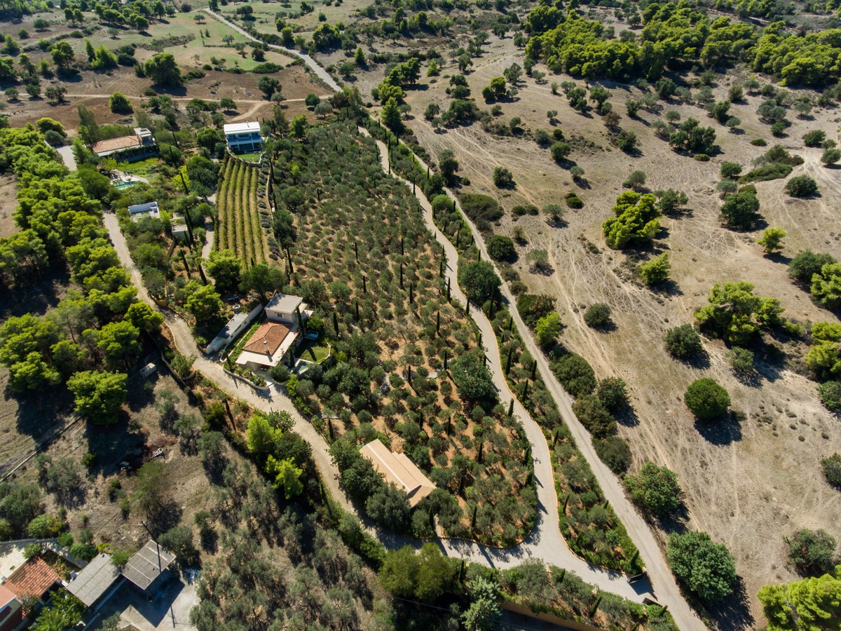 Tuscany Estate image 88