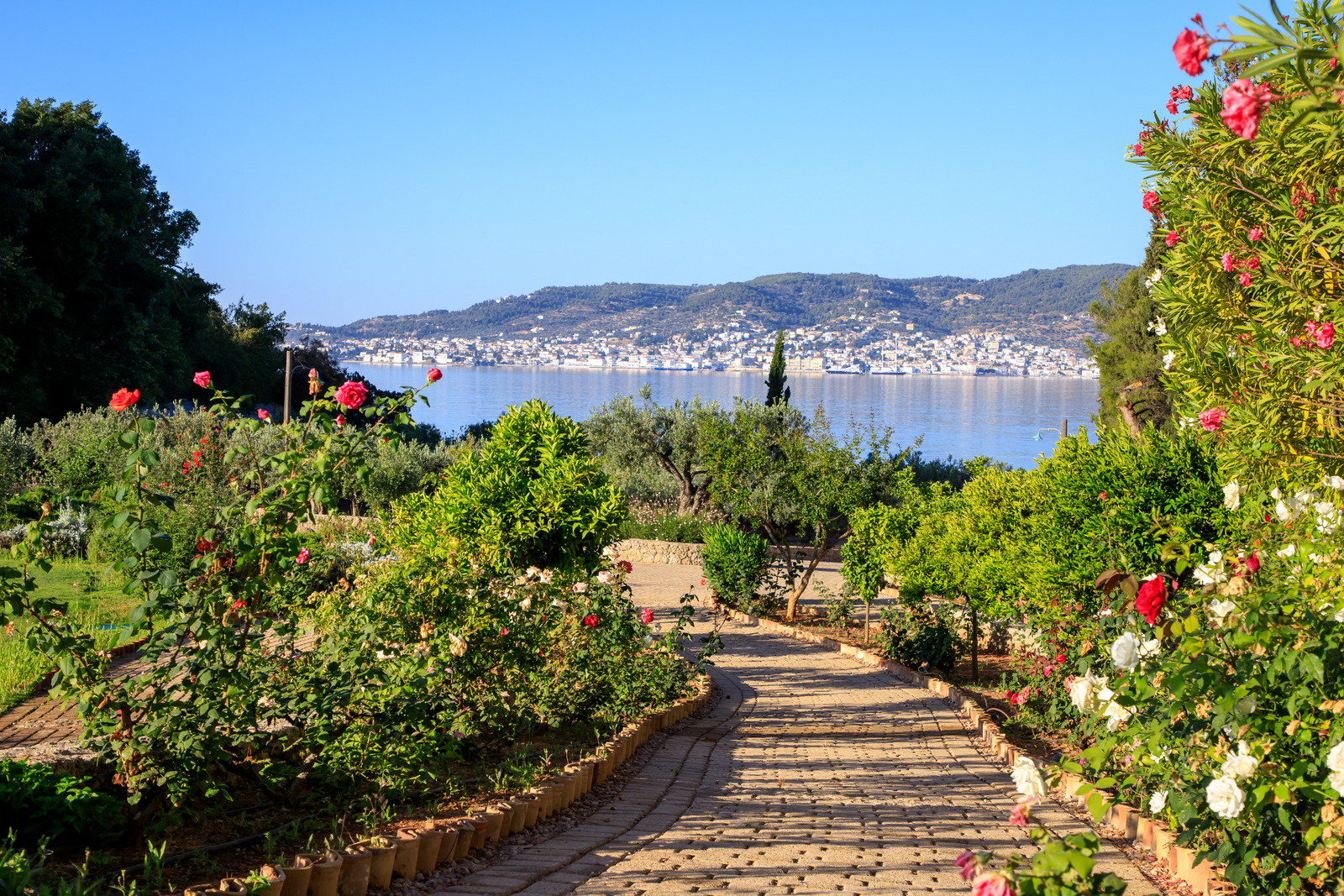 Blue Lagoon Estate image 56
