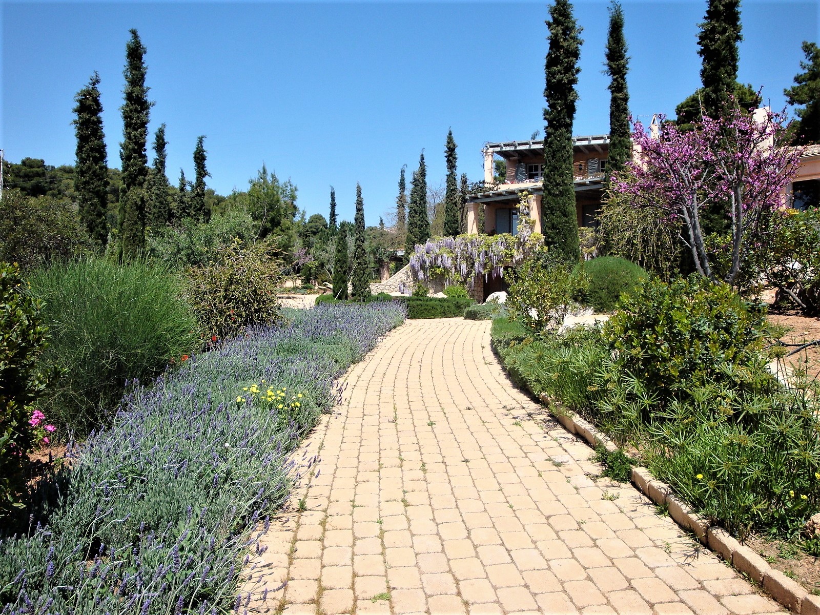 Villa Charisma image 6