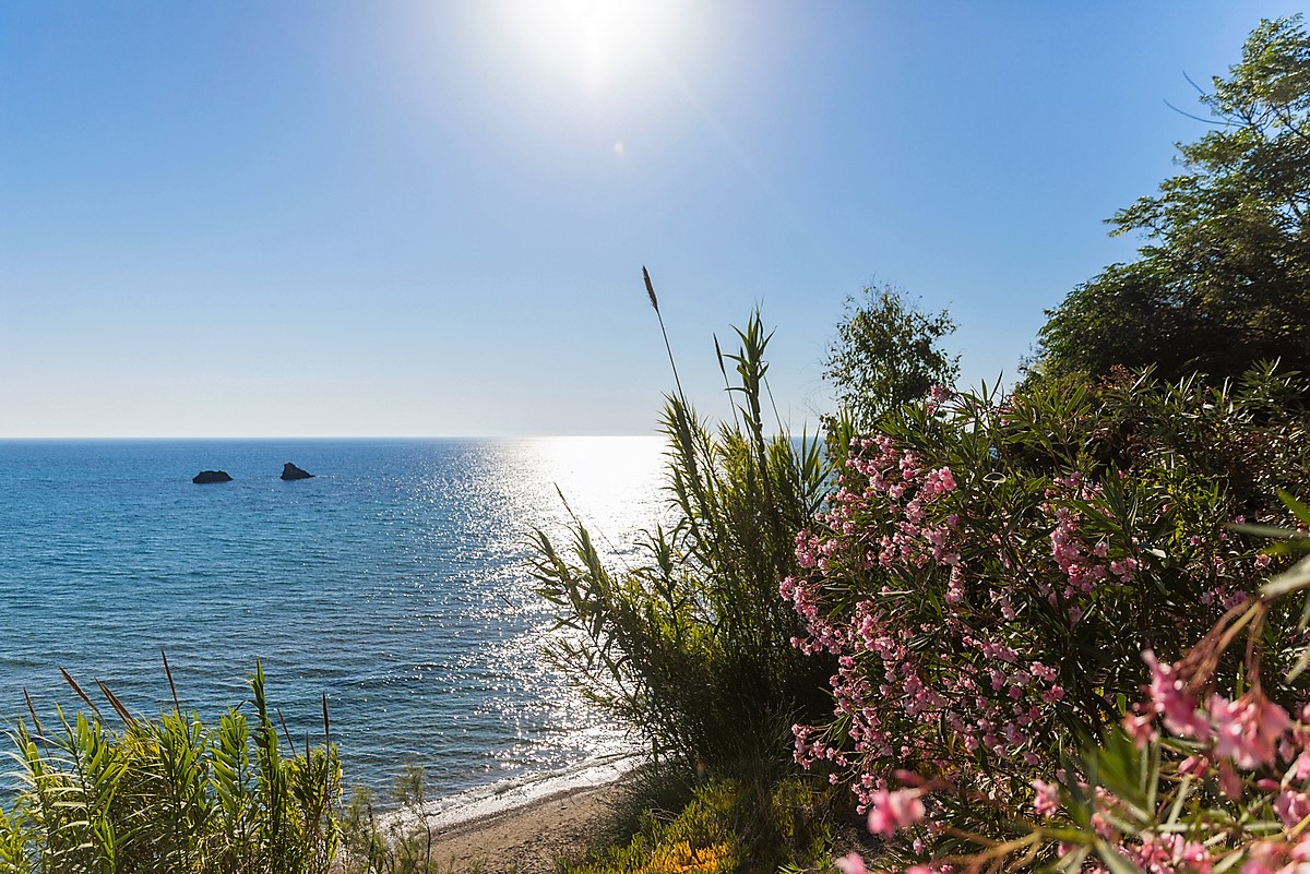 Villa Neda image 29