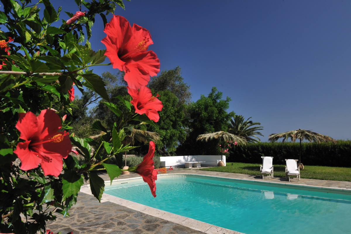 Villa Theros image 21