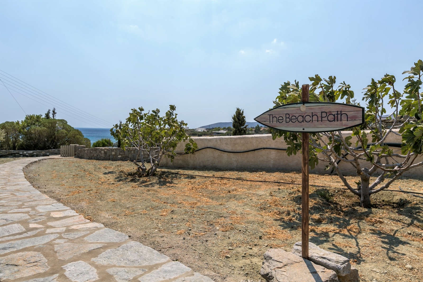Aqua di Paros image 15