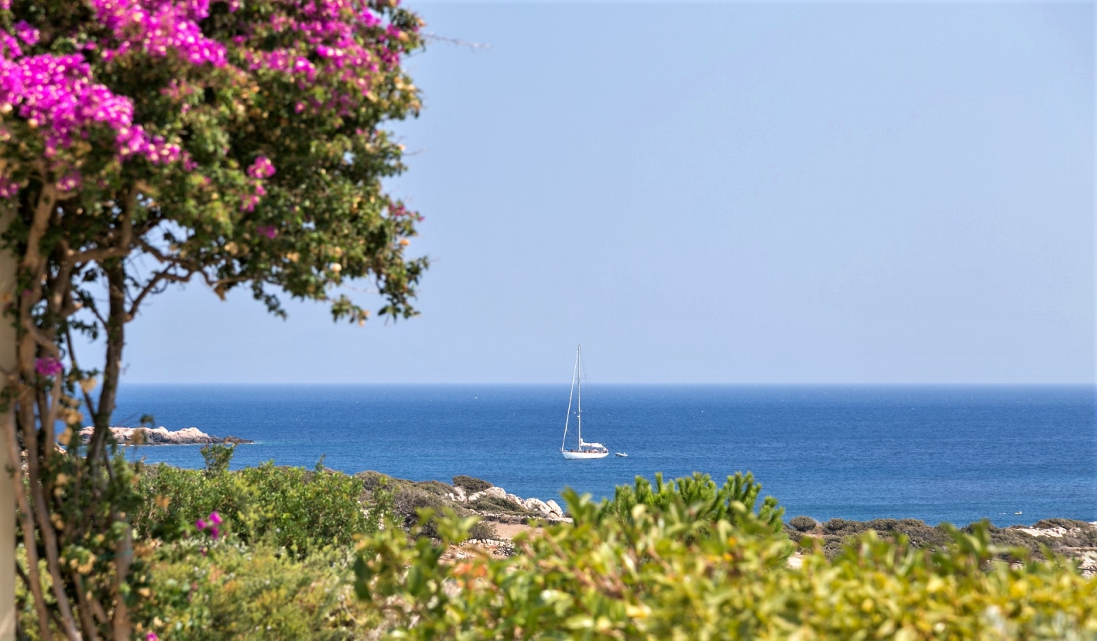 Aqua di Paros image 14