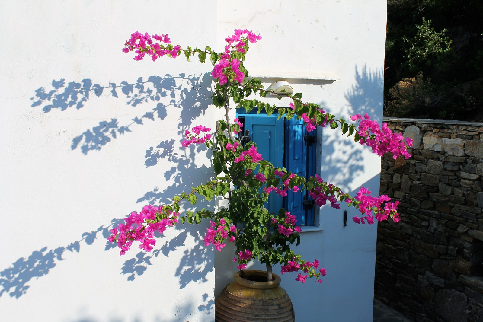 Villa Verde image 83