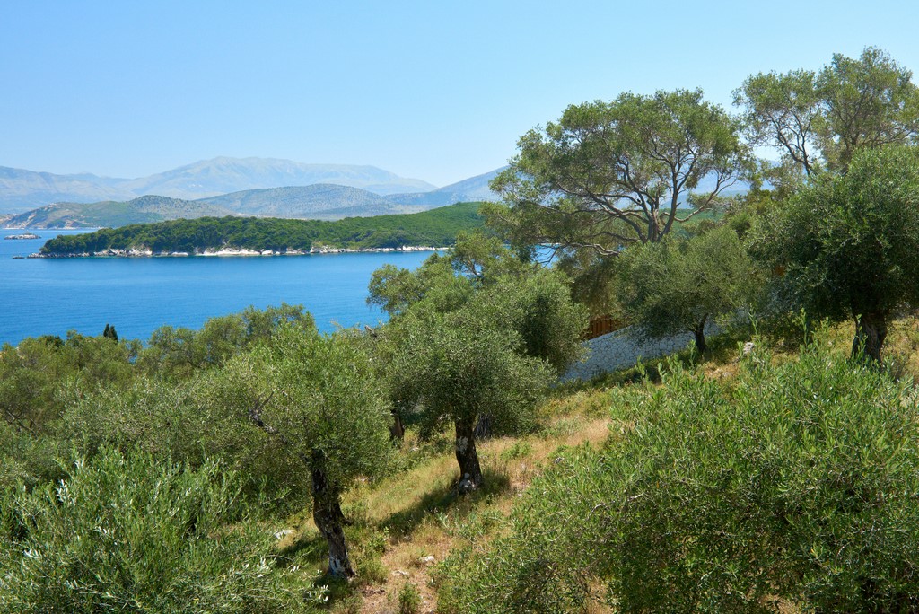 Villa Alessa image 13