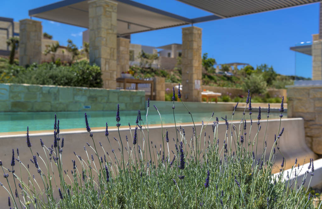 Villa Moi image 3
