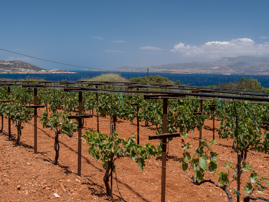 Villa Ventura image 17