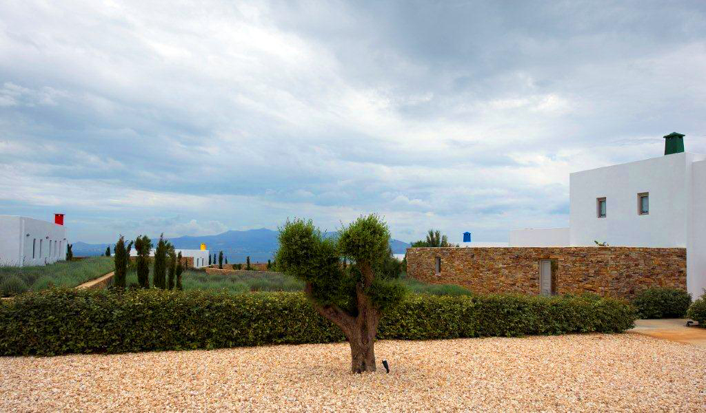 Villa Ventura image 7