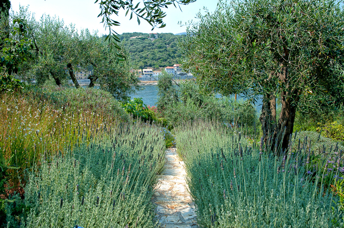 Villa Magia image 20