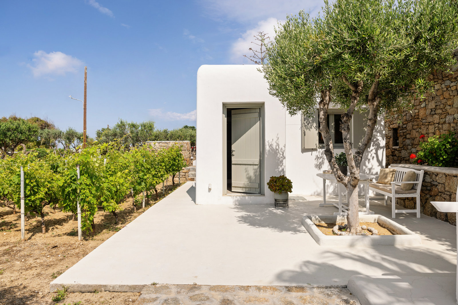 Villa Nemy image 103