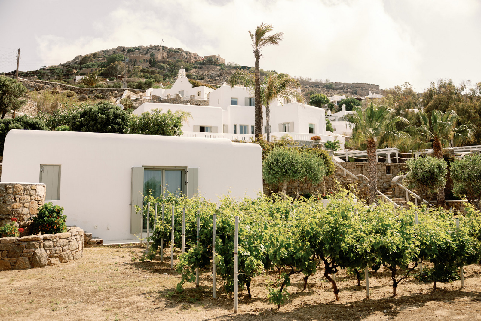 Villa Nemy image 100