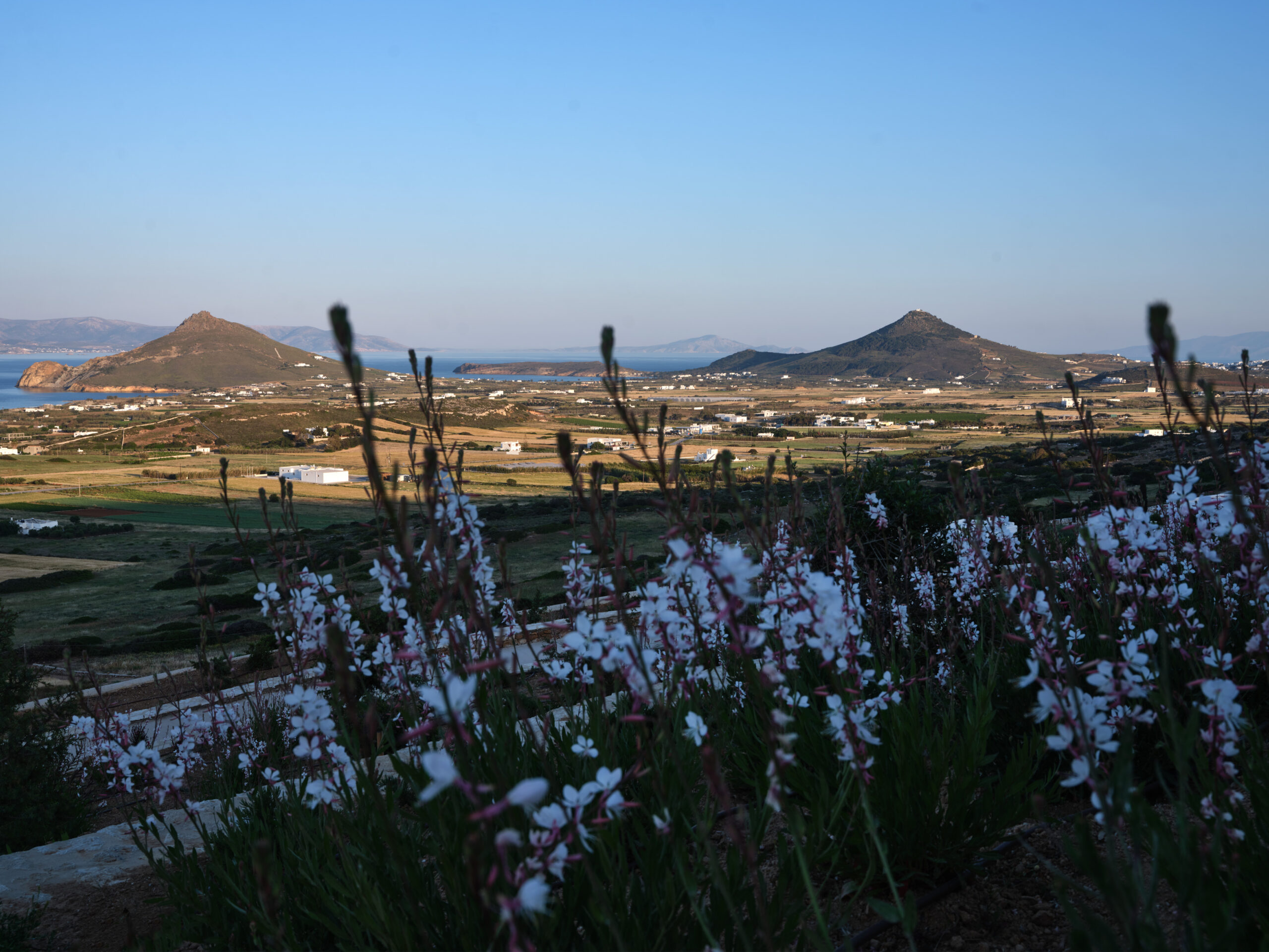 Villa Salacia image 24