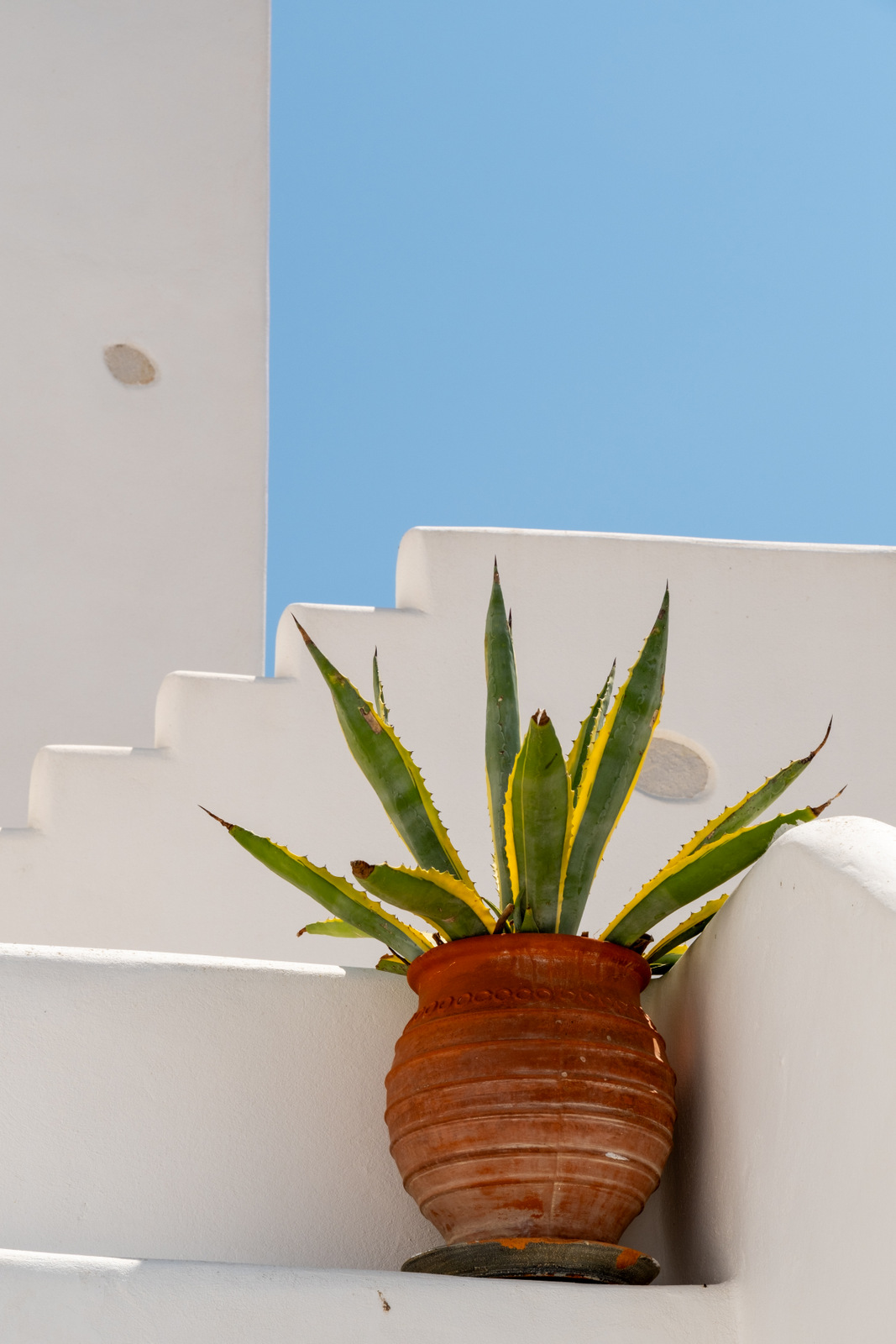 Villa Orselina image 38