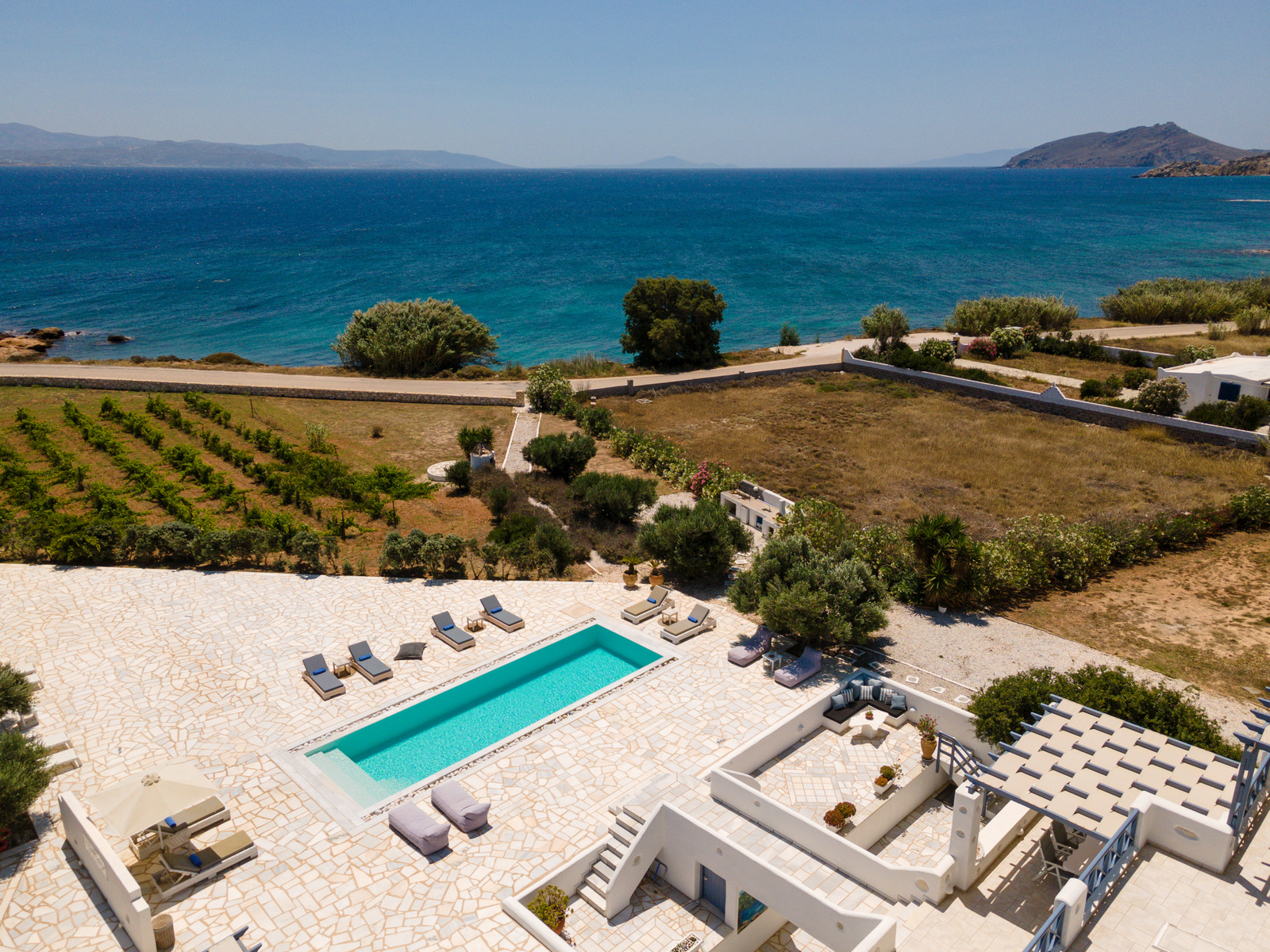 Villa Orselina image 6