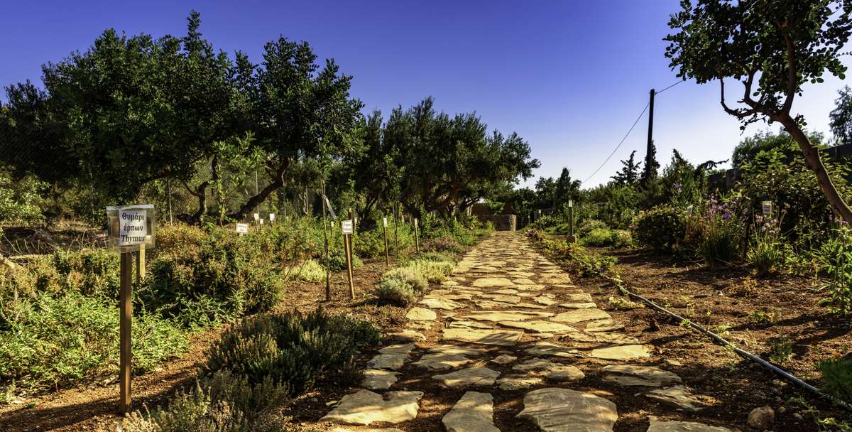 Villa Hemin image 16