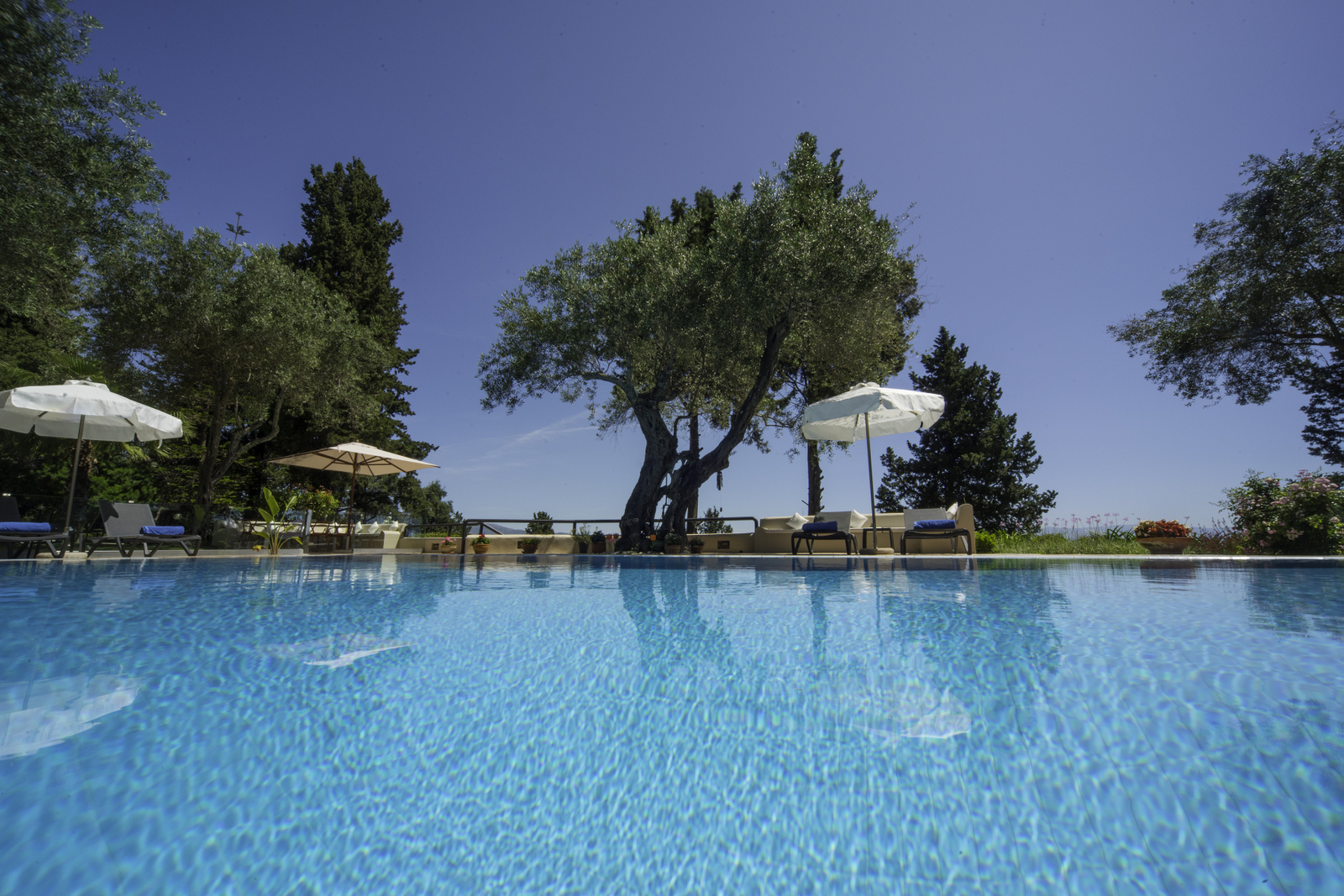 Villa Fedde image 12