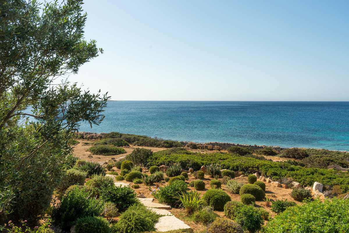 Dante Estate II image 129