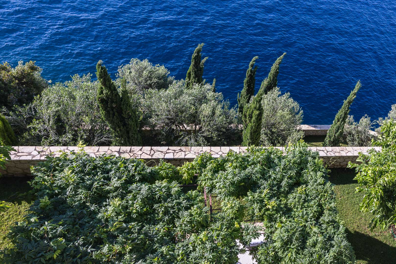 Oasis Estate image 25