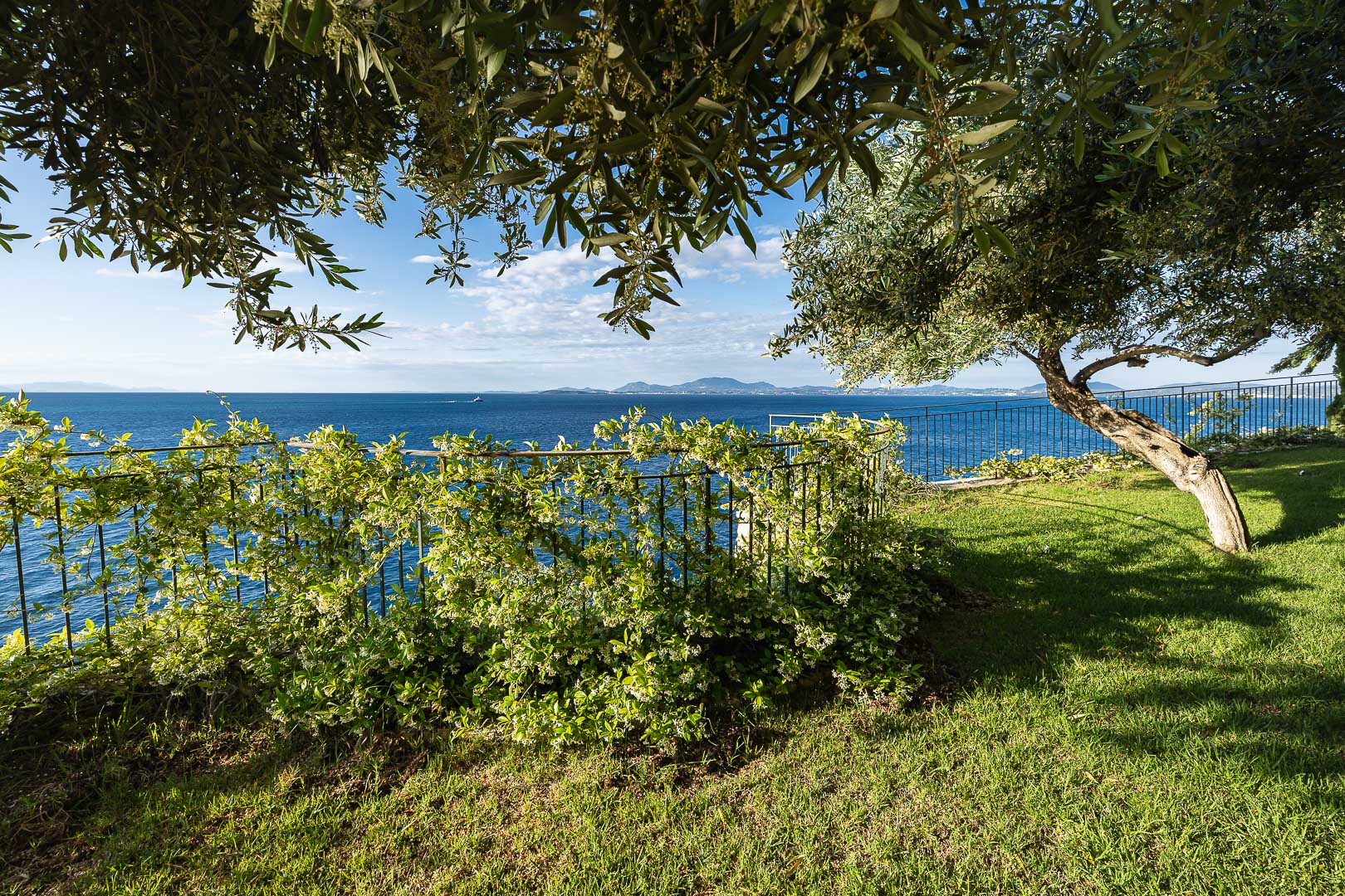 Oasis Estate image 26