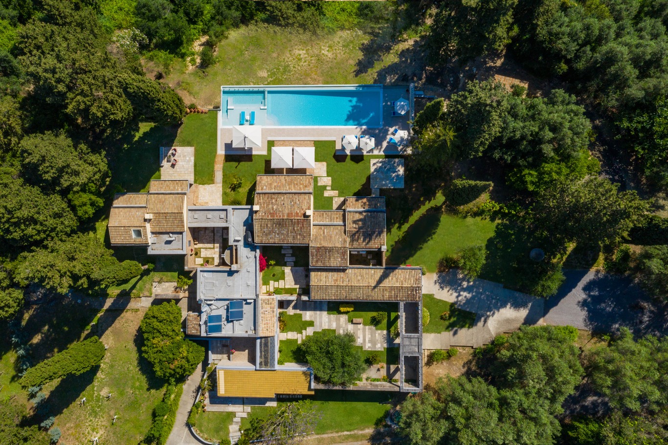 Villa Rose image 2