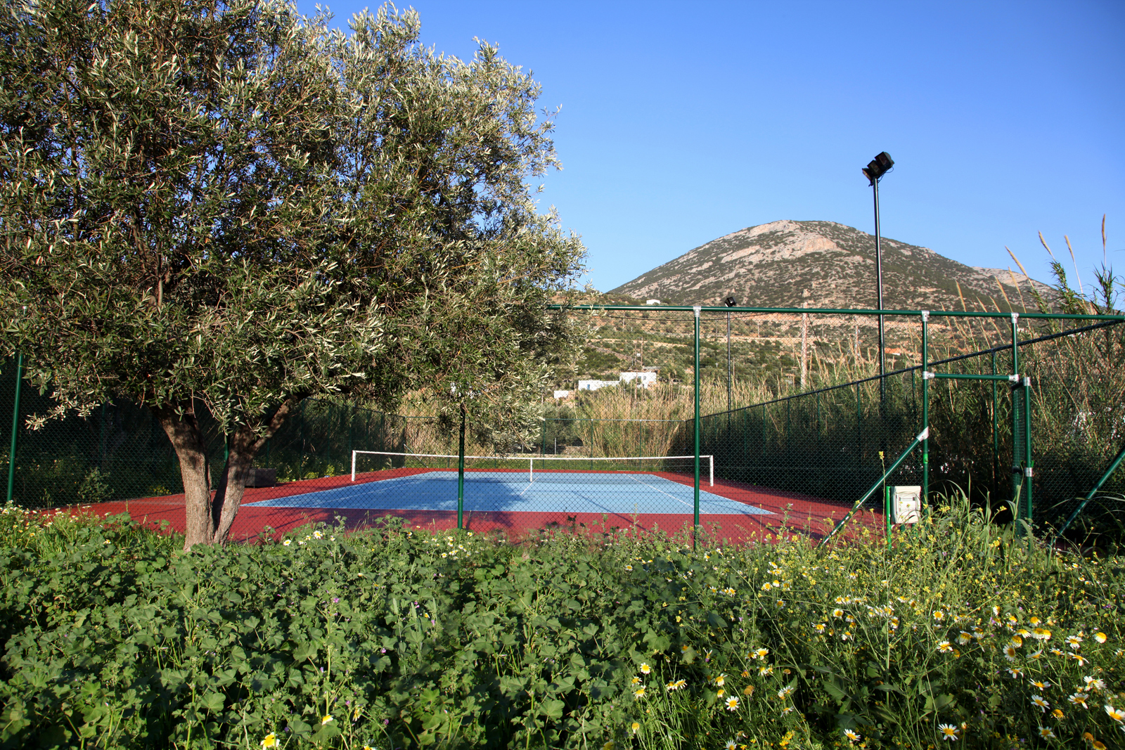 Villa Branco image 22
