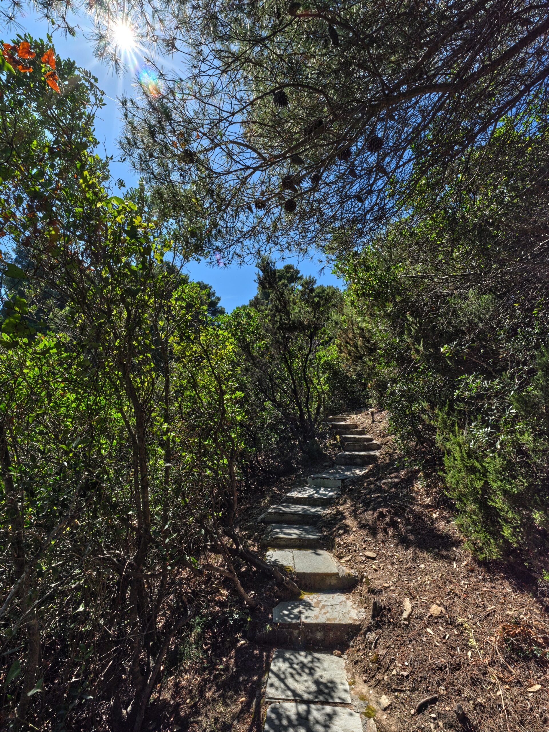 Carmel Beach House image 6