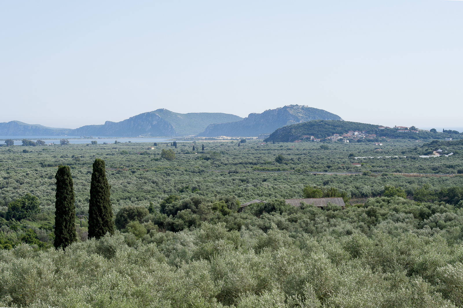 Villa Olia image 26