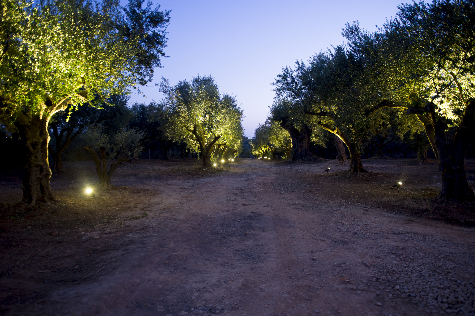 Villa Olia image 21