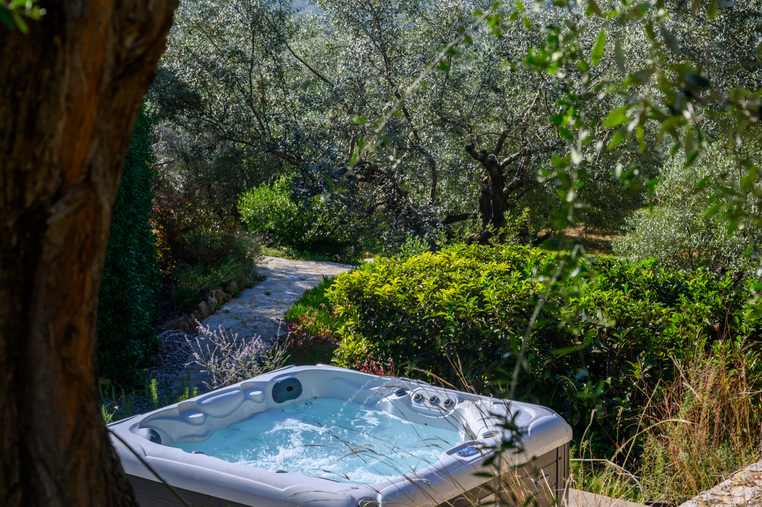 Villa Olia image 13