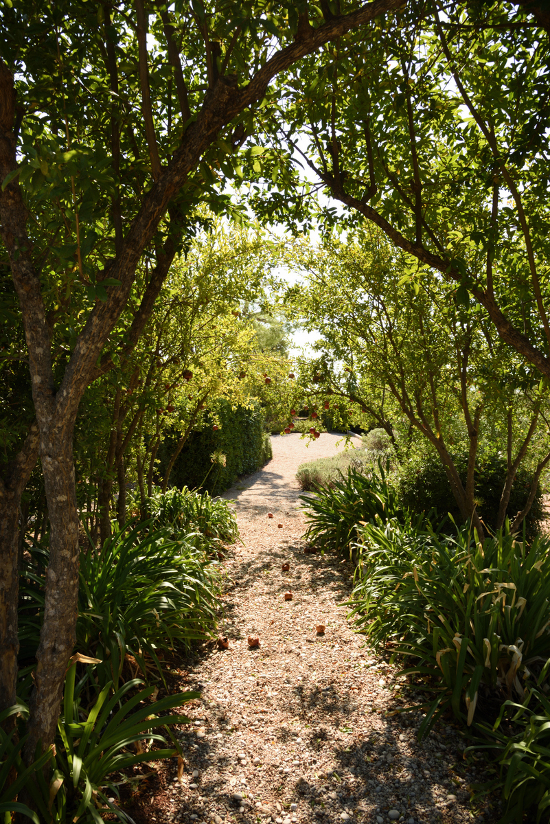 Gaelon Estate image 19
