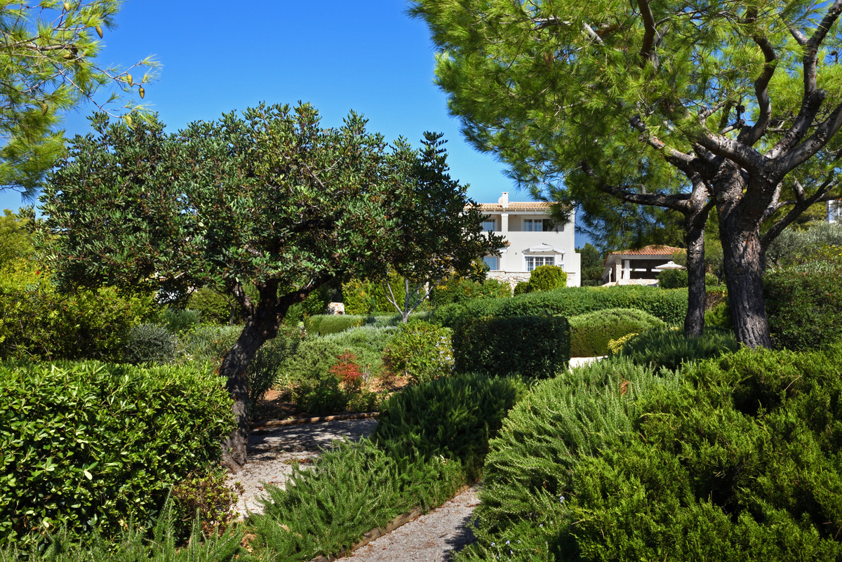 Gaelon Estate image 23
