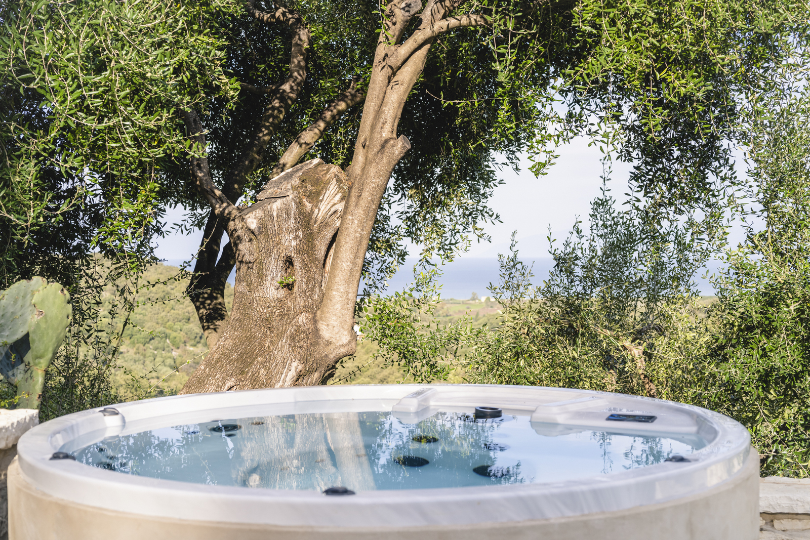 Desiderio Estate image 11